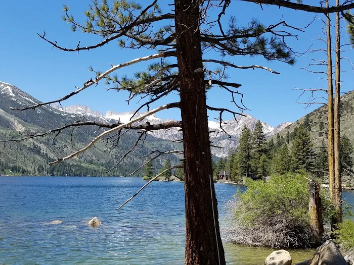 Robinson Creek North Campground 5