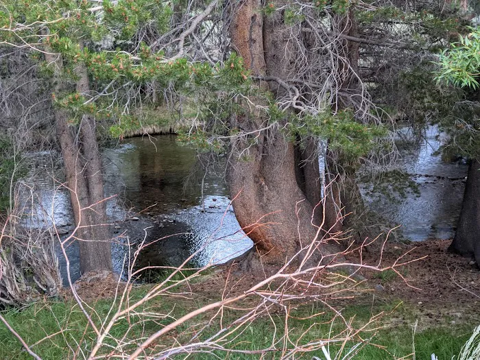 Robinson Creek North Campground 3
