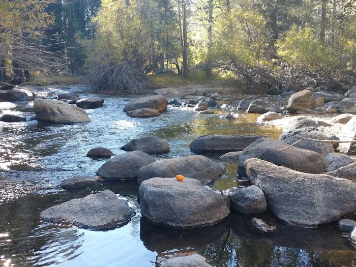 Robinson Creek North Campground 6