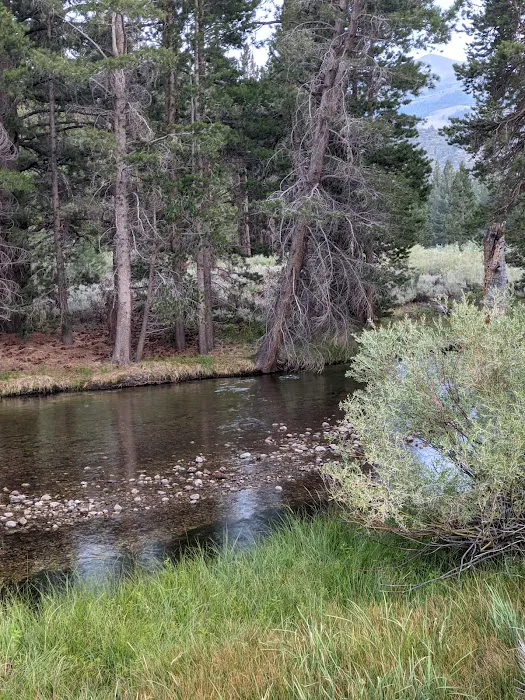 Robinson Creek North Campground 1