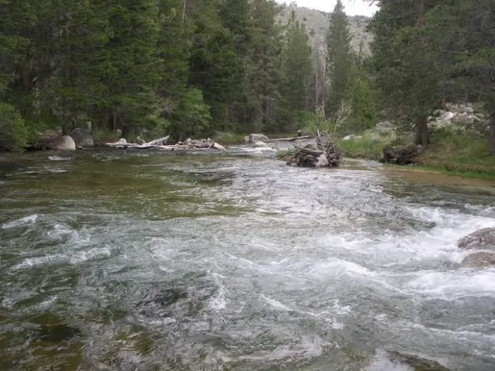 Robinson Creek North Campground 9