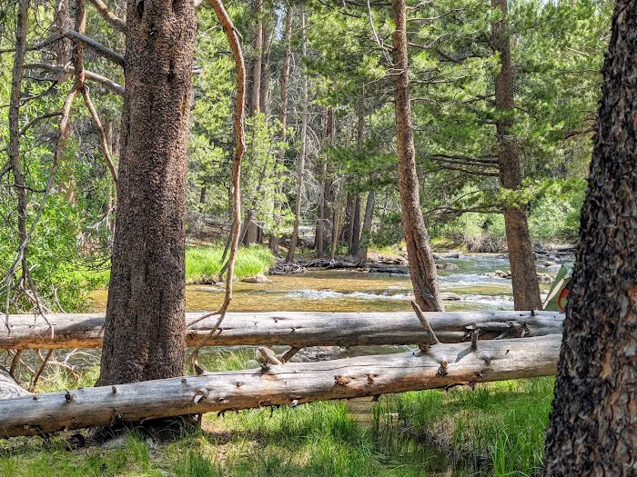 Robinson Creek North Campground 2