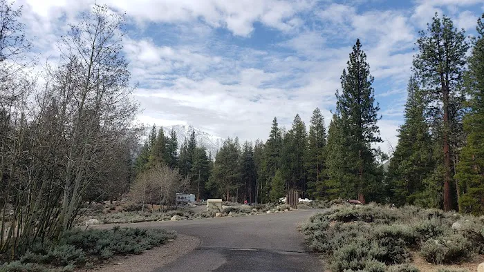 Robinson Creek South Campground 8