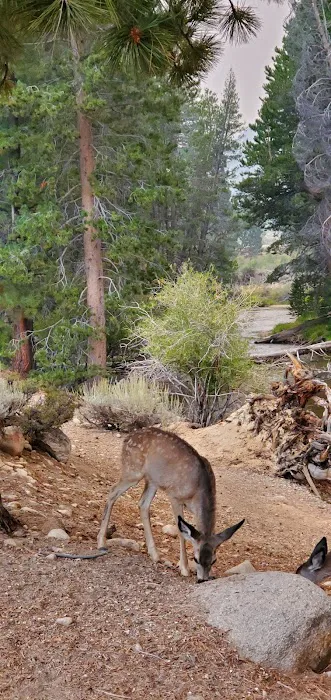 Robinson Creek South Campground 2