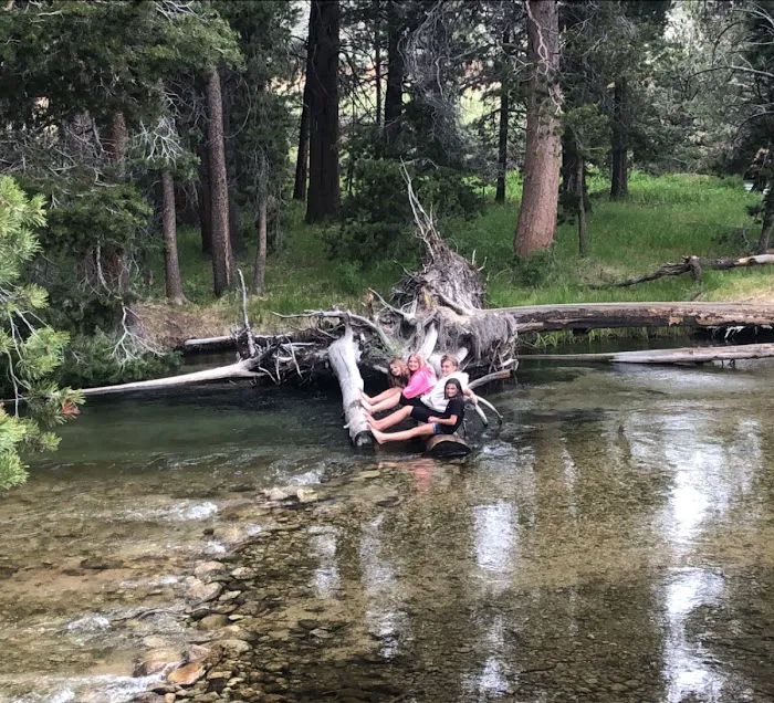Robinson Creek South Campground 9