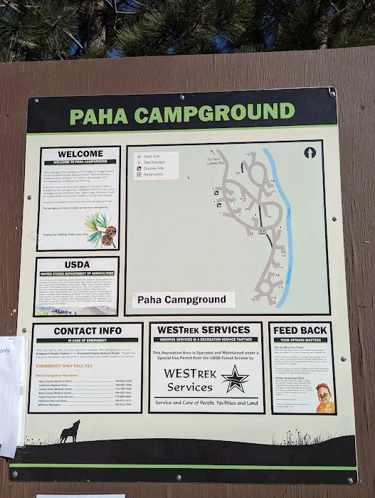 Paha Campground 9