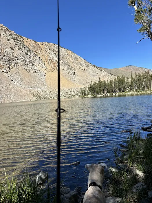 Paha Campground 6