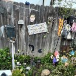 Driftwood trailer park