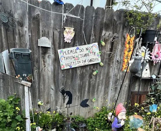 Driftwood trailer park