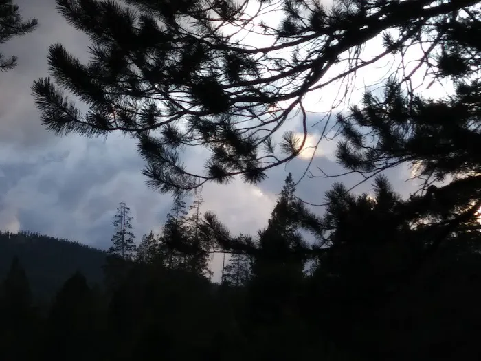 Sagehen Creek Campground 4
