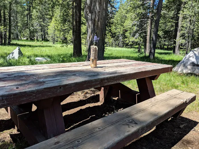 Sagehen Creek Campground 6