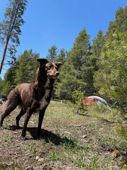 Sagehen Creek Campground 0