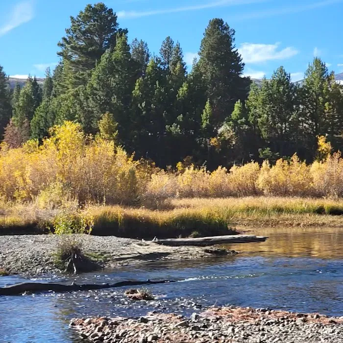 Sagehen Creek Campground 9