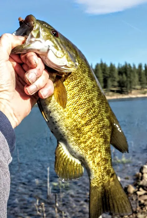 Stampede Reservoir 7
