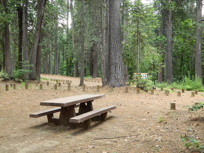 Dan Beebe Campground 0