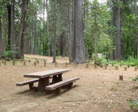 Dan Beebe Campground