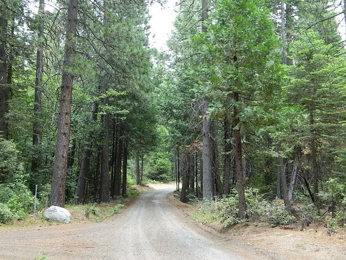 Dan Beebe Campground 1