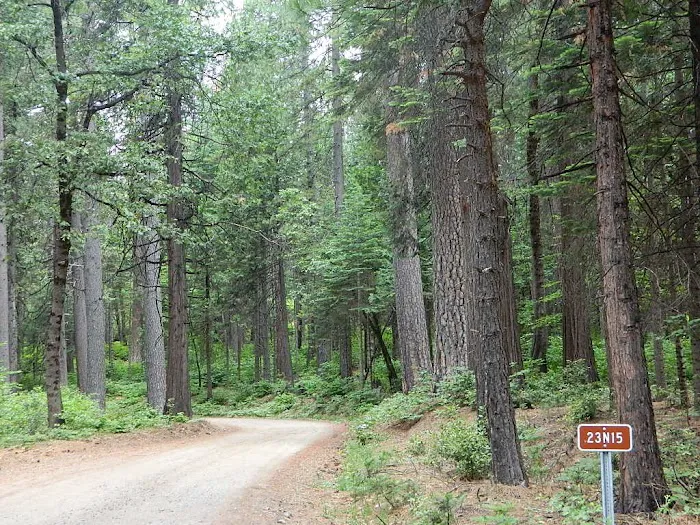 Dan Beebe Campground 4