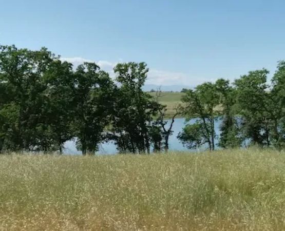 Buckhorn Campground