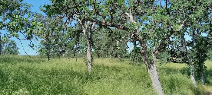 Buckhorn Campground 6