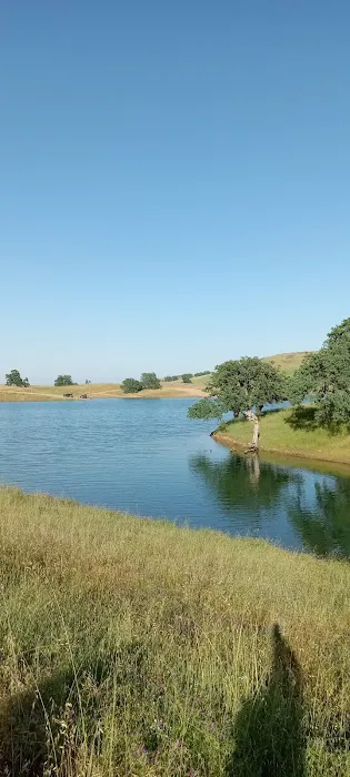 Buckhorn Campground 2