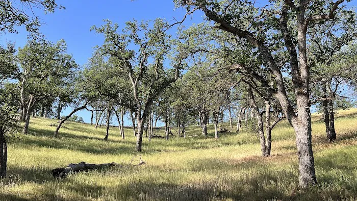 Buckhorn Recreation Area 7