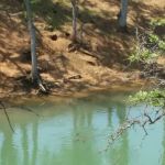 Stony Gorge Campground