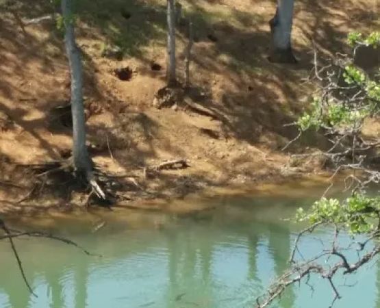 Stony Gorge Campground