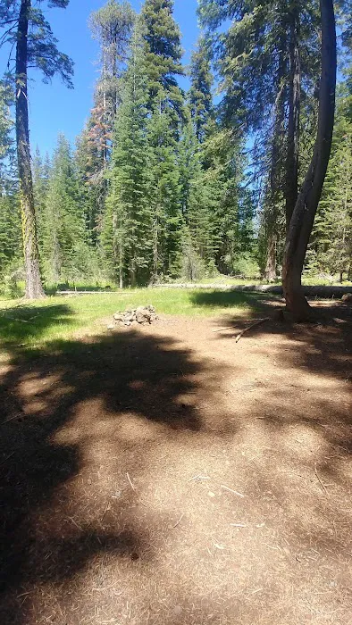 Snag Camp 1 1
