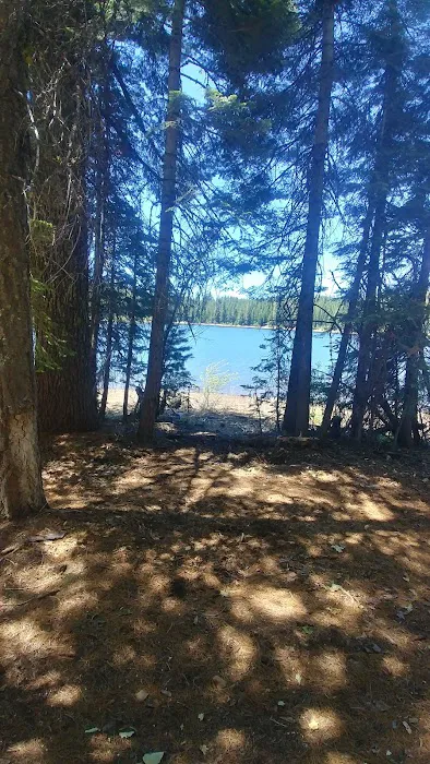 Snag Camp 2 1