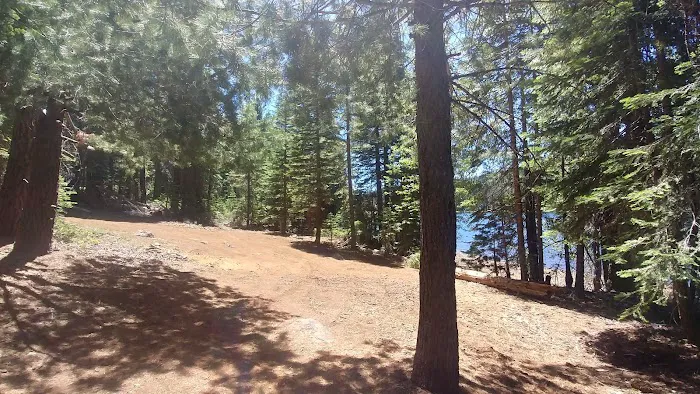 Snag Camp 2 0