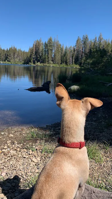 Snag Lake Campground 6