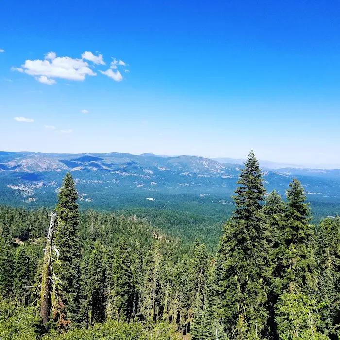 Sierra Campground 4