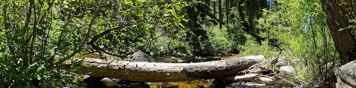 Sierra Campground 1