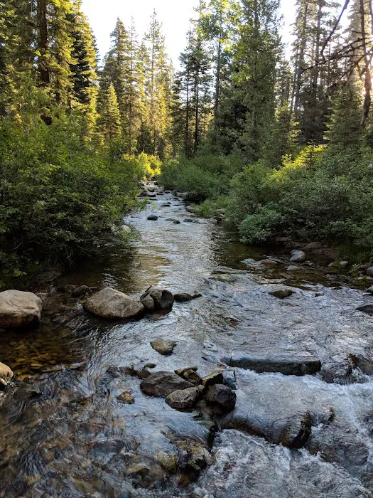 Sierra Campground 7