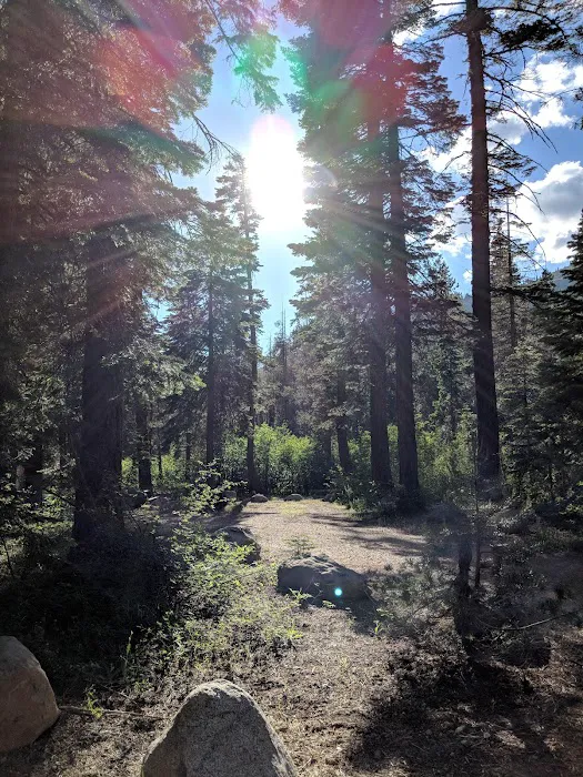 Sierra Campground 2