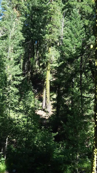 Sierra Campground 6
