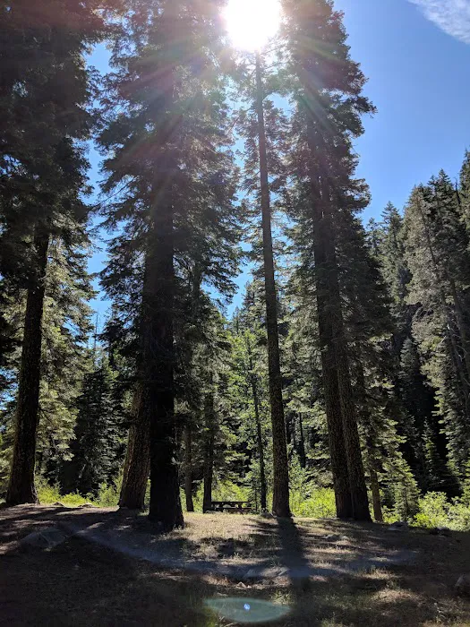 Sierra Campground 0