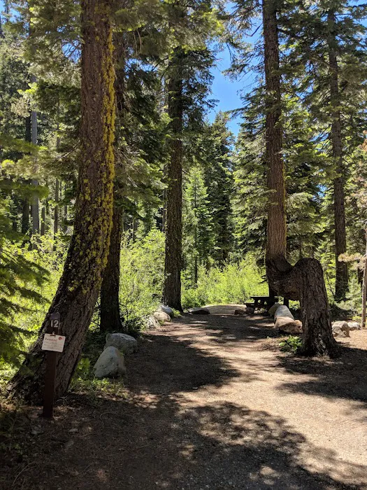 Sierra Campground 8