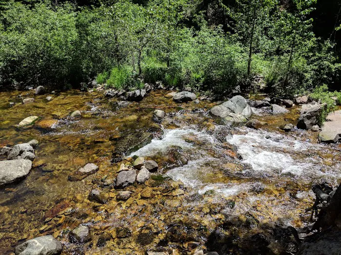Sierra Campground 9