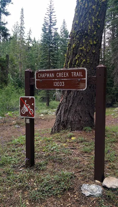 Chapman Creek Campground 4