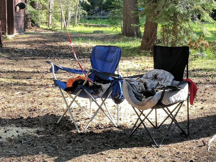 Chapman Creek Campground 7