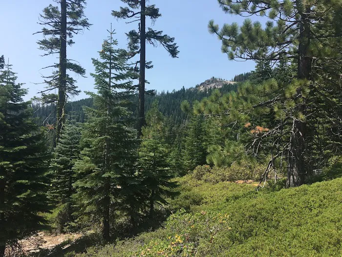 Chapman Creek Campground 0