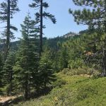 Chapman Creek Campground