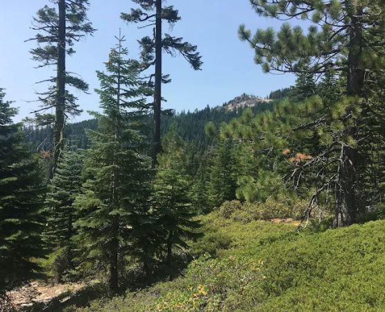 Chapman Creek Campground