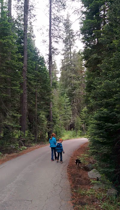 Chapman Creek Campground 6