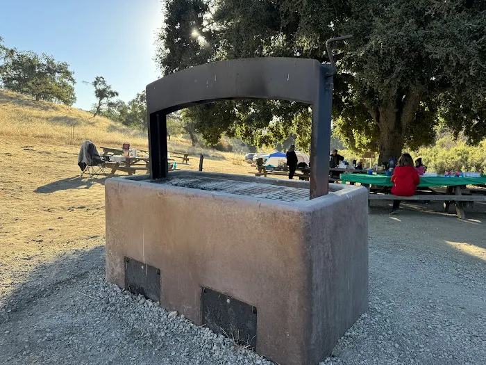 Big Oak Group Camp 2