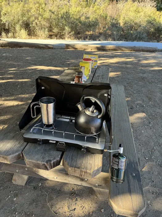Big Oak Group Camp 5