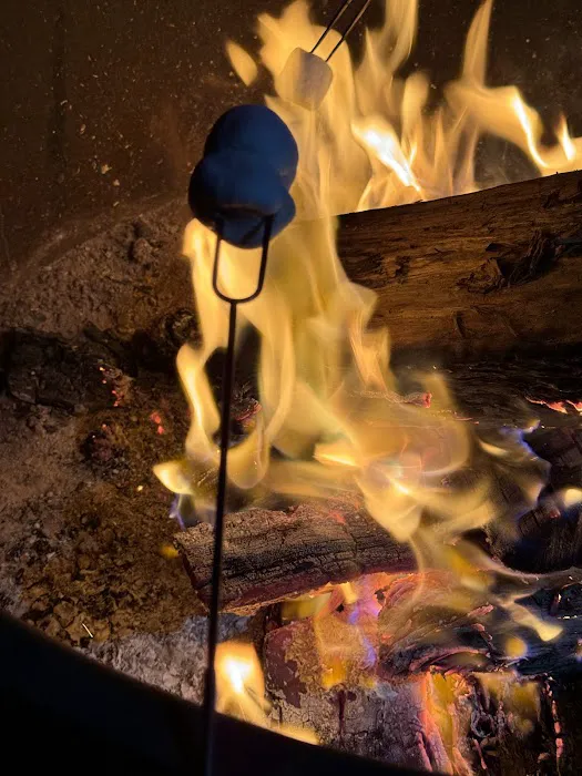 Big Oak Group Camp 8