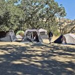 Halls Valley Group Site